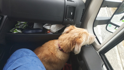 Perfect view to the outside