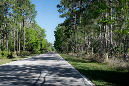 Oder doch bisschen mehr grade aus?