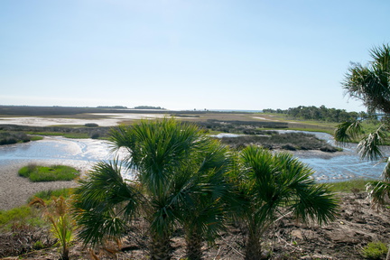 Immer noch kein Krokogator