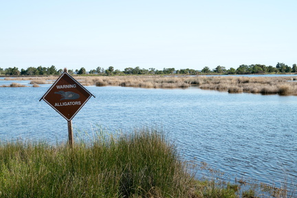 Alligatoren haben wir keine gefunden, nur Rentner.