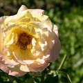2016 08 26_0999