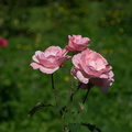 2016 08 26_0986