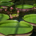 2016 08 26_0977