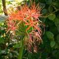 2016 08 26_0973