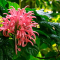 2016 08 26_0972