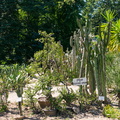 2016 08 26_0959