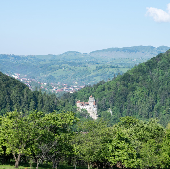 flickr-27100642880.jpg