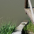 2016 05 27_0803.jpg