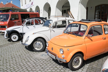 Europeans Animals united