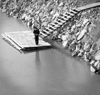 Fishing in the Mures