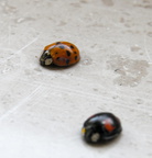 2015 10 23_2690_bearbeitet-1