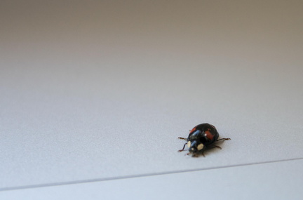 Exploring the Surface