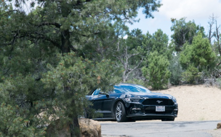 2015 07 10_2511_bearbeitet-1