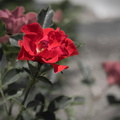 My first try with Macro