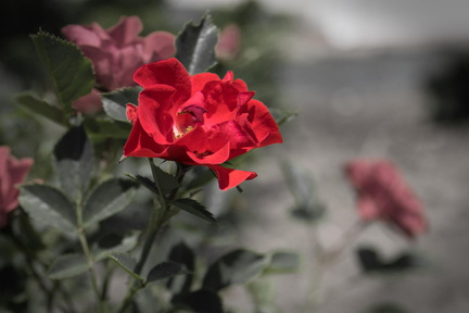 My first try with Macro