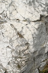 2015 02 22_1774