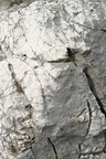 2015 02 22_1773