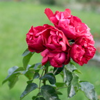 2014 08 11_0690_bearbeitet-1