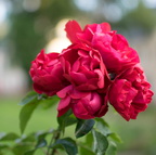 2014 08 11_0687_bearbeitet-1