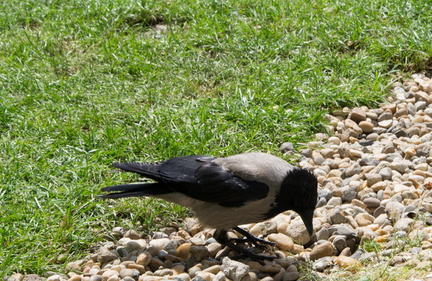 2014 05 25_0532_bearbeitet-1