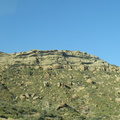 P8090132