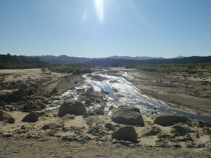 P8090119