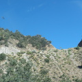 P8090333