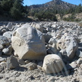 P8090329