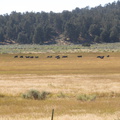 P8090317