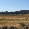 P8090316