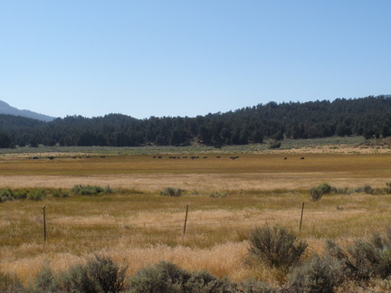 P8090316