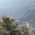 P8090141