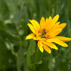 33 - Ein salziger See